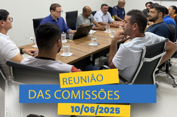REUNIÃO DAS COMISSÕES