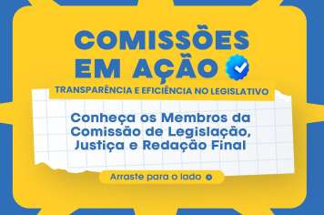 COMISSÕES PERMANENTES 2025-2026