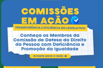 Comissão de Defesa do Direito da Pessoa com Deficiência e Promoção da Igualdade